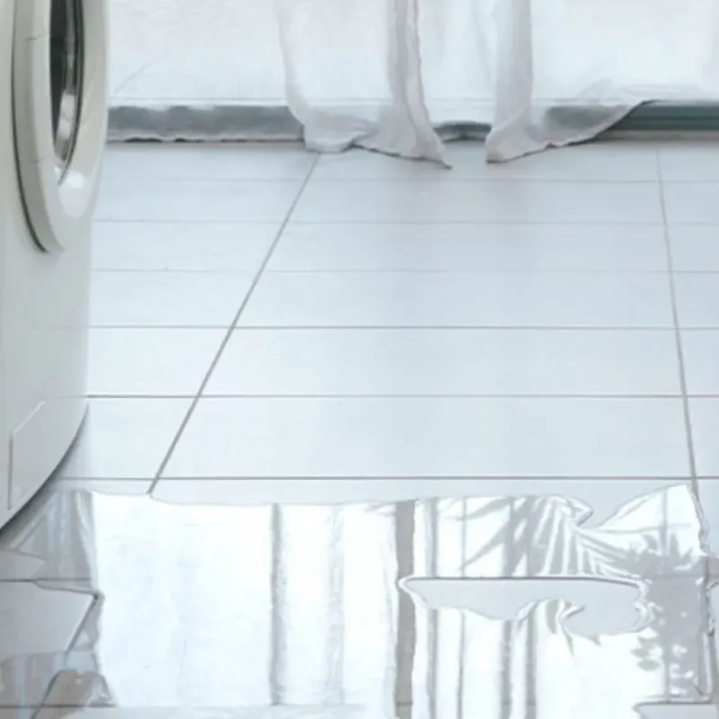 Appliance Leak Cleanup in Salado, TX