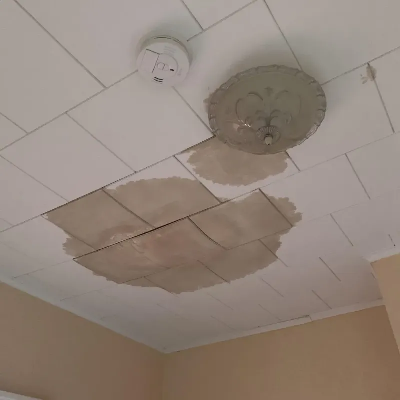 Ceiling Water Damage Repair in Salado, TX
