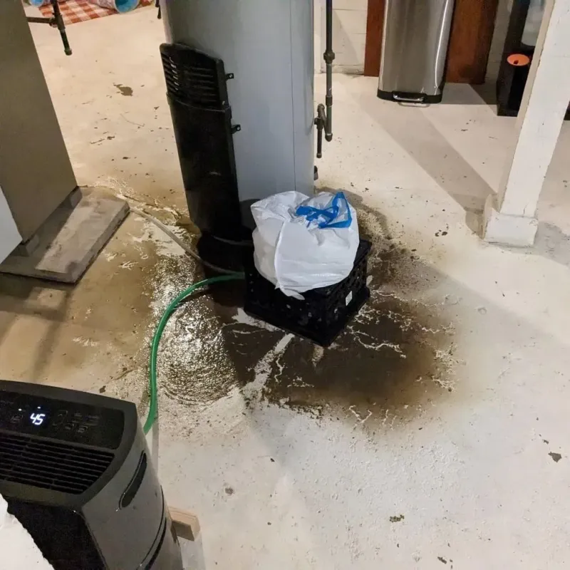 Sewage Backup Cleanup Service in Salado, TX